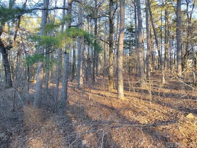 61 Murcia Way, Hot Springs Village, AR 71909 - #3