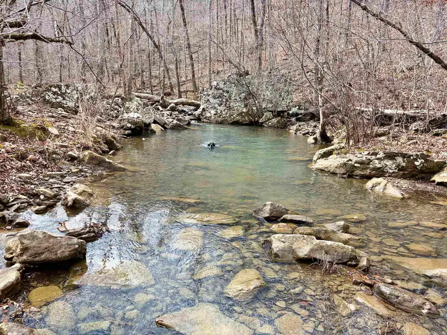 Address Withheld By Seller, Clinton, AR 72031 - #3