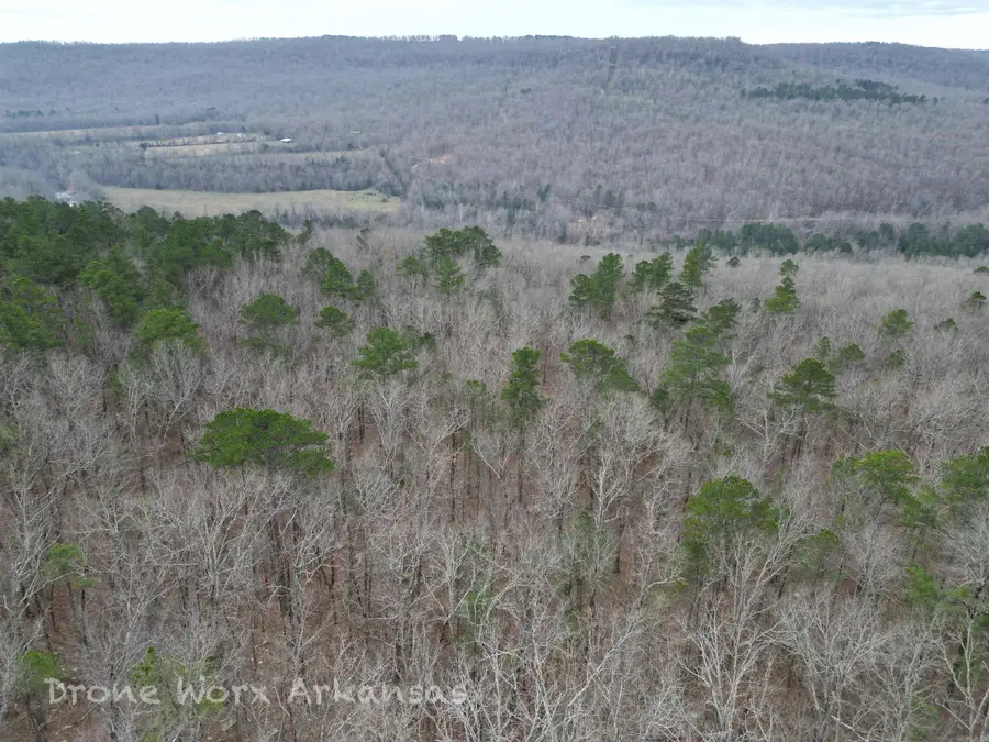 1872 Little Red River Road, Marshall, AR 72650 - #3