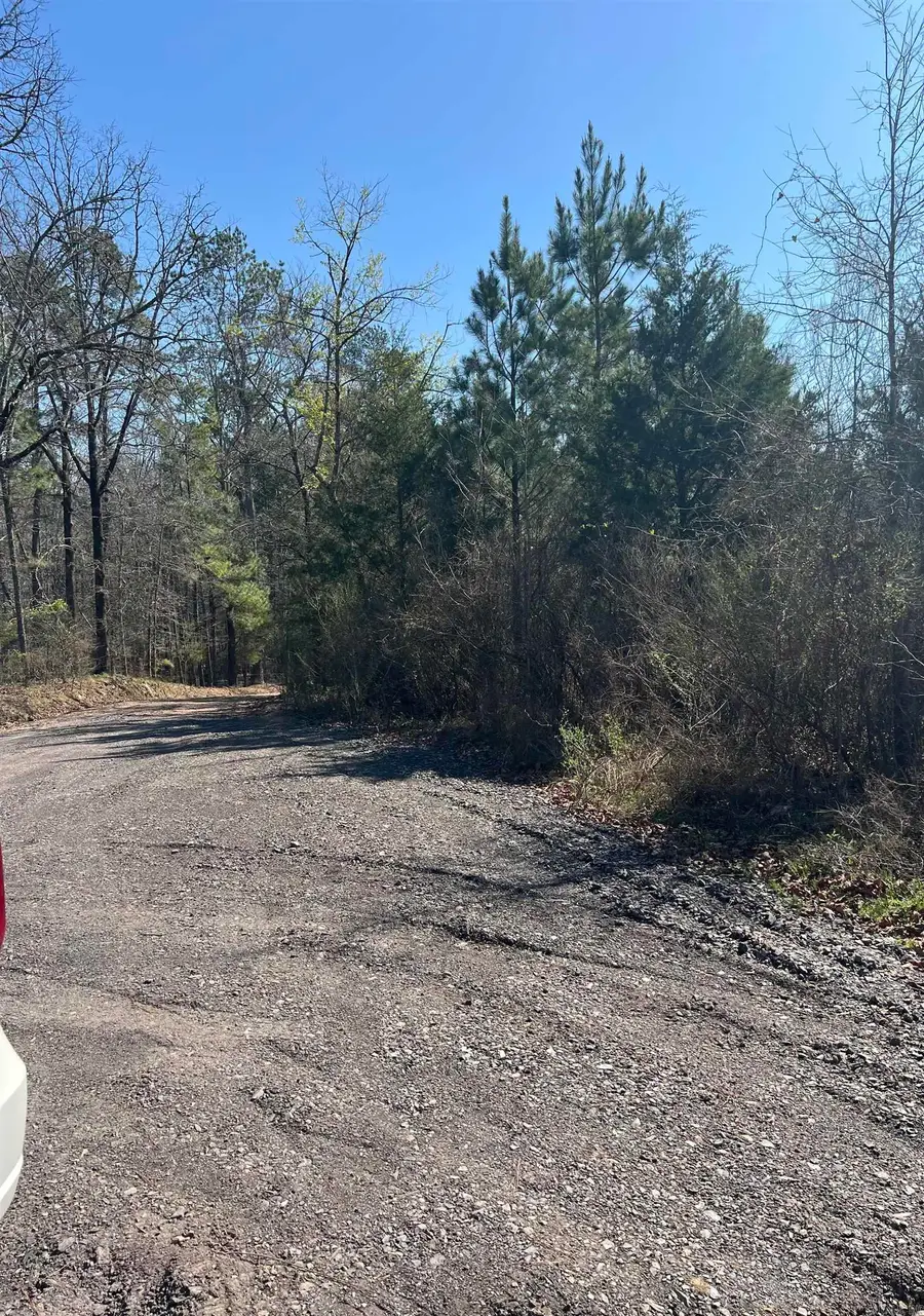 xx John Ashley, Murfreesboro, AR 71958 - #3