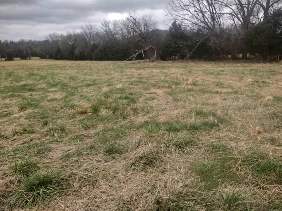 Tract 4 Hwy 14 E, Mountain View, AR 72560 - #2