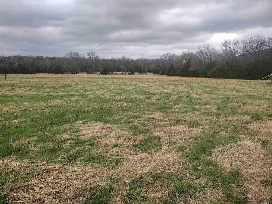 Tract 4 Hwy 14 E, Mountain View, AR 72560 - #3