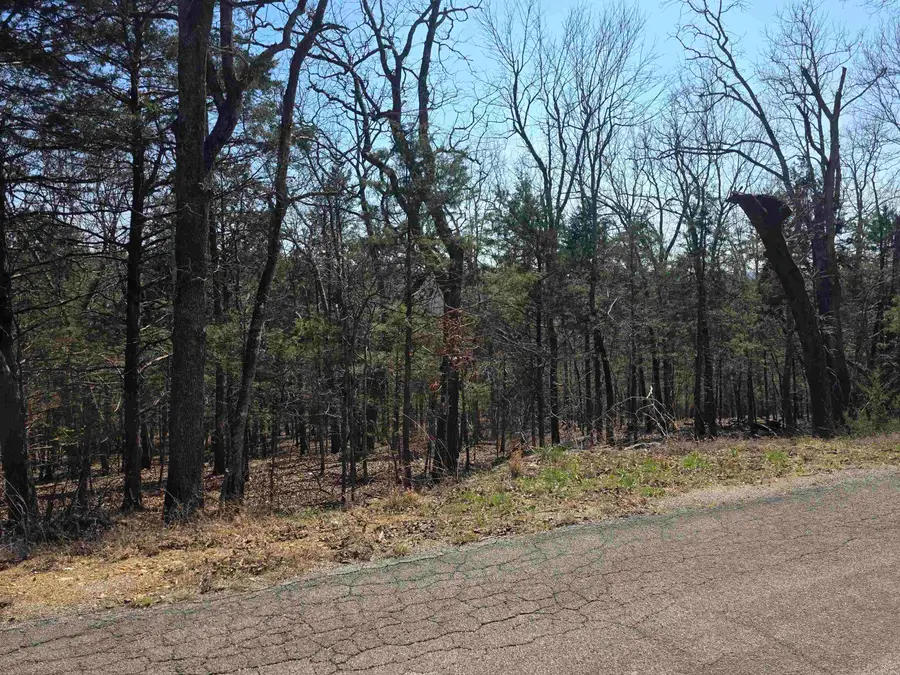 L31 B3 Ohew Drive, Cherokee Village, AR 72529 - #2