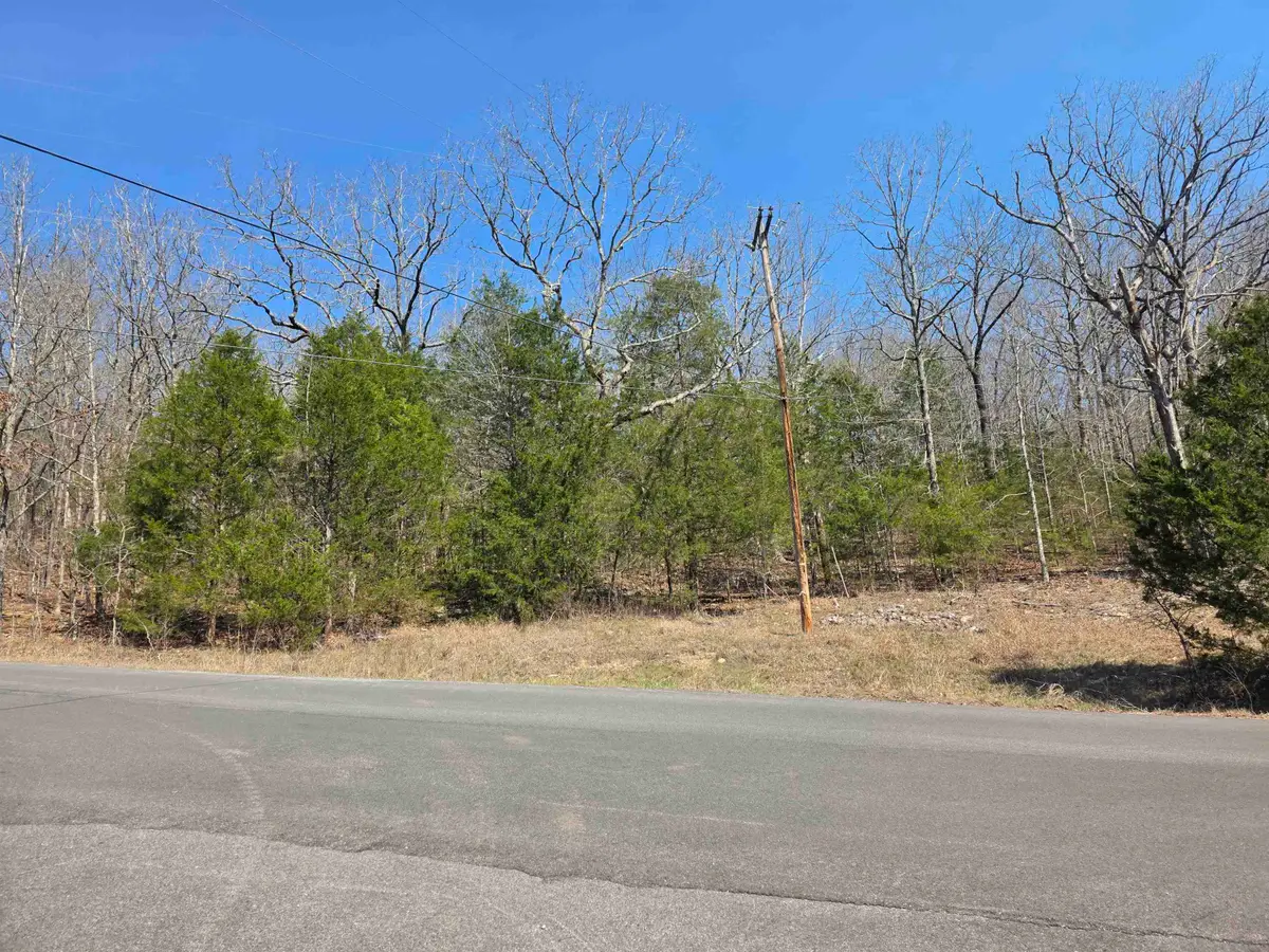 L3 B5 Flathead Drive, Cherokee Village, AR 72529 - #1