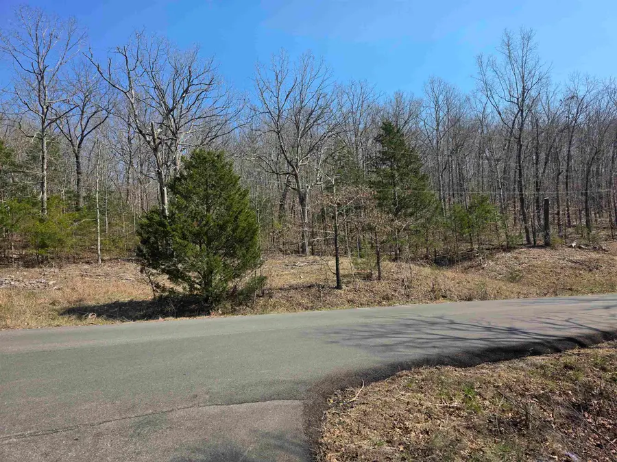 L3 B5 Flathead Drive, Cherokee Village, AR 72529 - #2