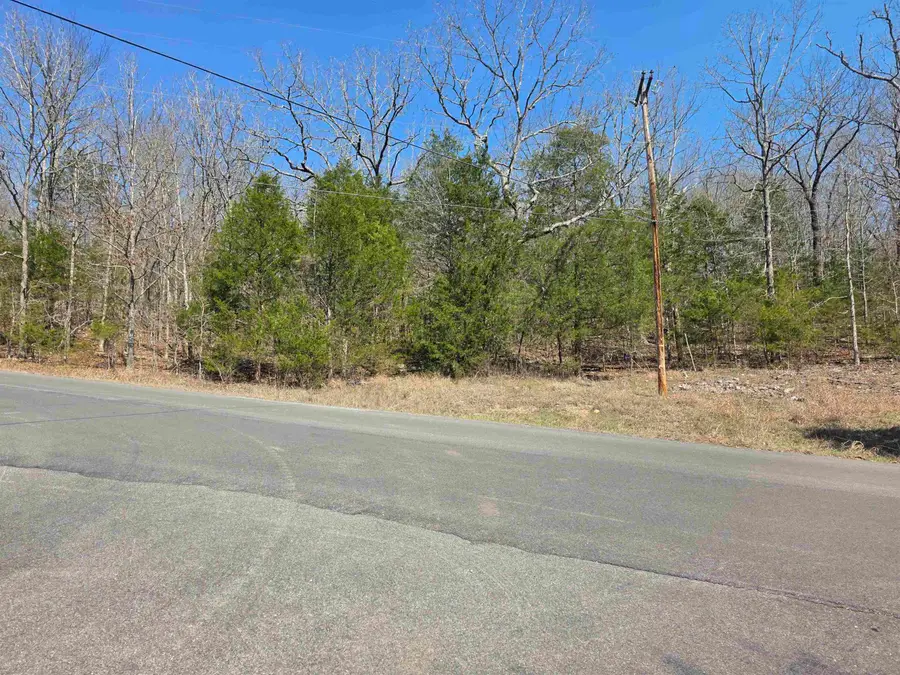 L3 B5 Flathead Drive, Cherokee Village, AR 72529 - #3