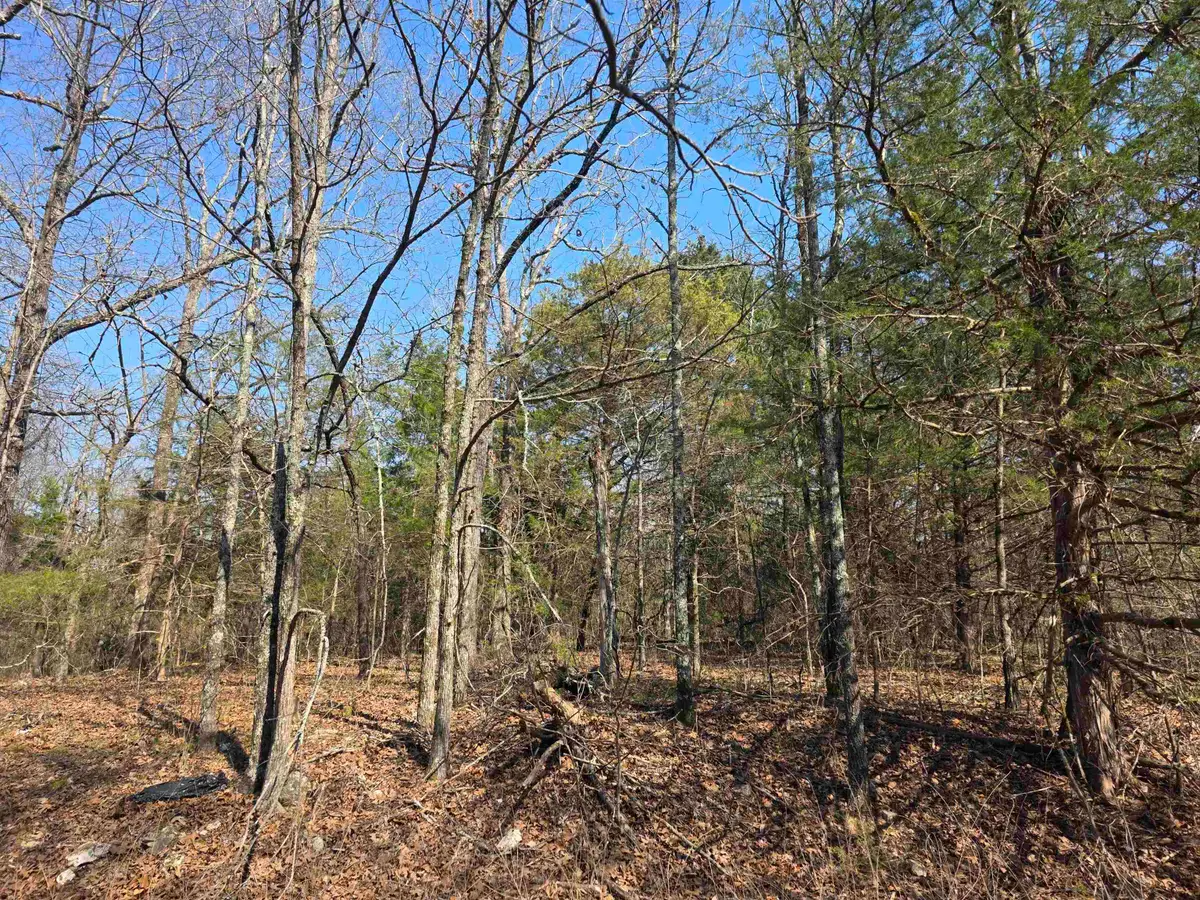 L3 B2 Inca Trace, Cherokee Village, AR 72529 - #1