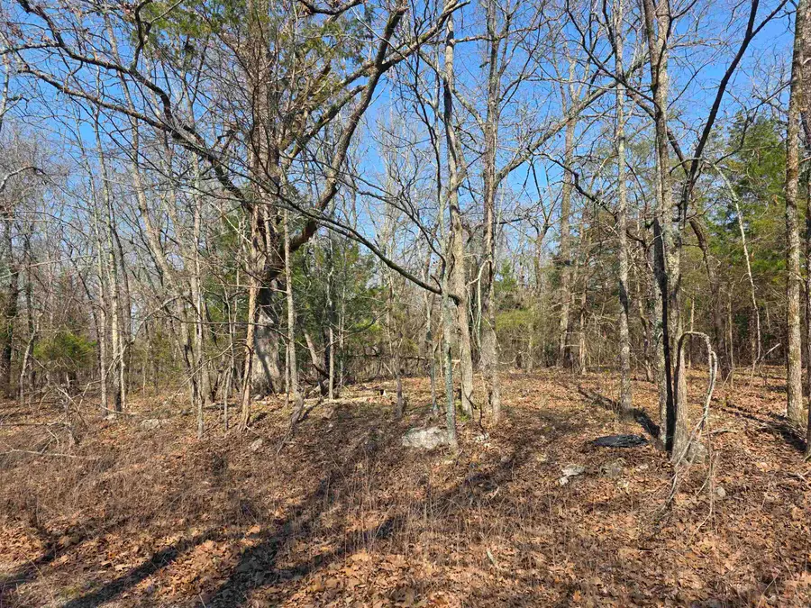 L3 B2 Inca Trace, Cherokee Village, AR 72529 - #3