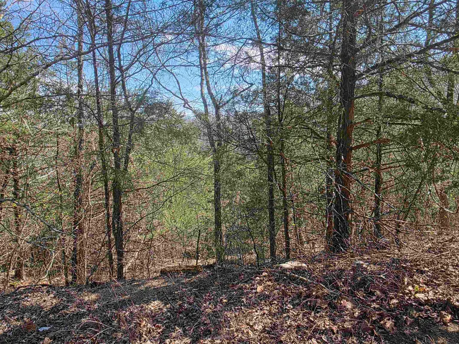 L24 B6 Chief Day Break Drive, Cherokee Village, AR 72529 - #2