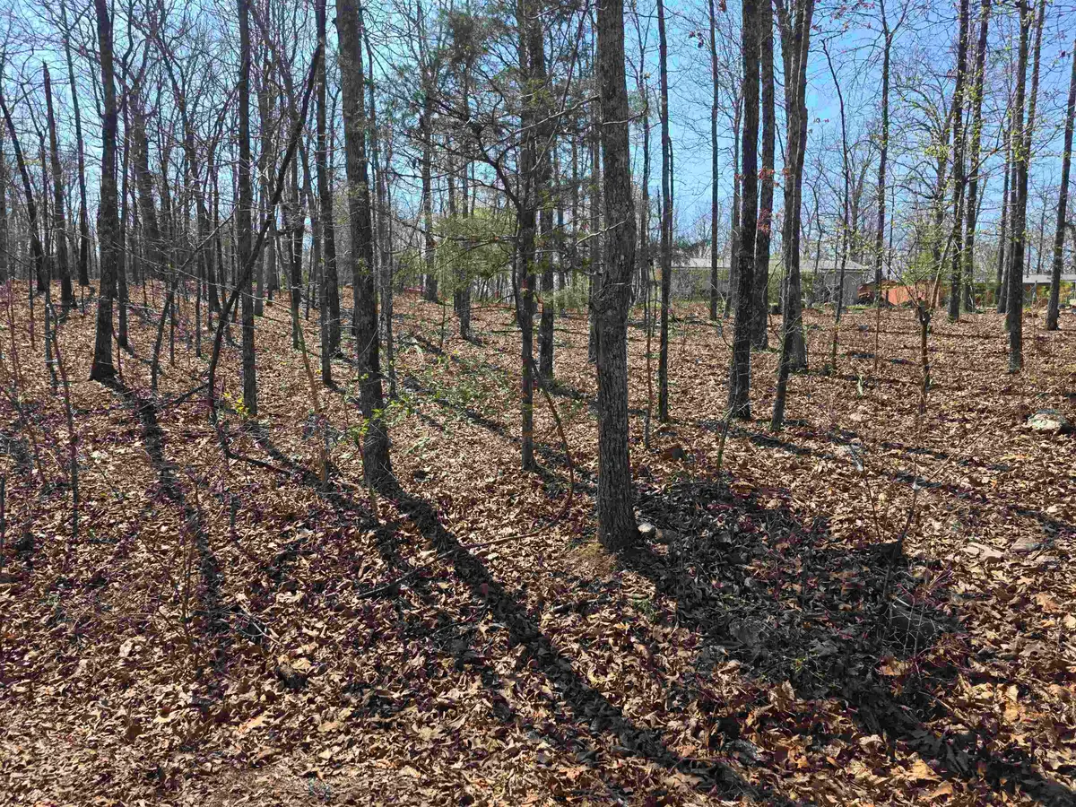 L12 B5 Deer Run Drive, Cherokee Village, AR 72529 - #1