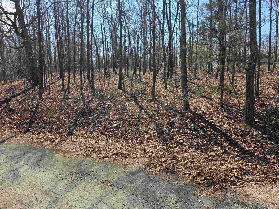 L12 B5 Deer Run Drive, Cherokee Village, AR 72529 - #3