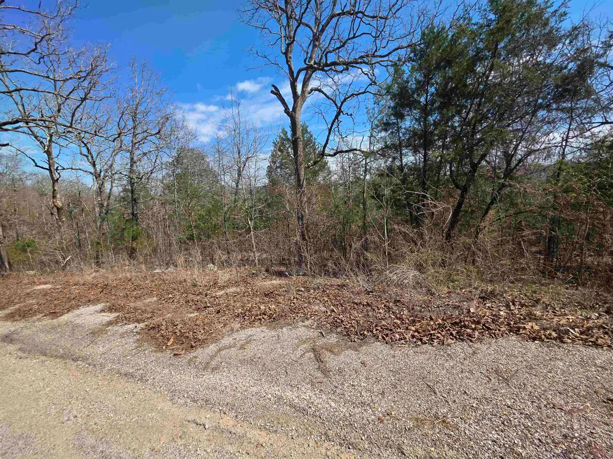 L13 B2 Deer Run Drive, Cherokee Village, AR 72529 - #1