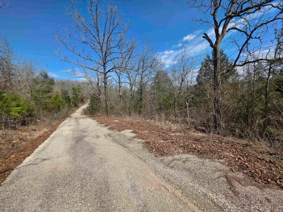 L13 B2 Deer Run Drive, Cherokee Village, AR 72529 - #2