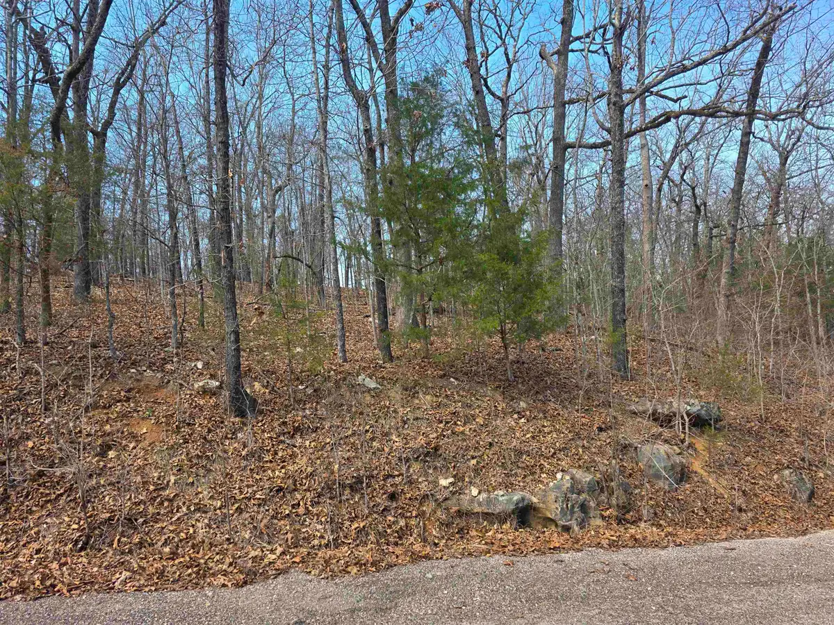 L12 B1 Deer Run Drive, Cherokee Village, AR 72529 - #1