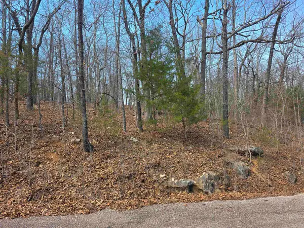 L6 B1 Deer Run Drive, Cherokee Village, AR 72529