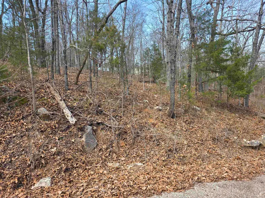 L12 B1 Deer Run Drive, Cherokee Village, AR 72529 - #3