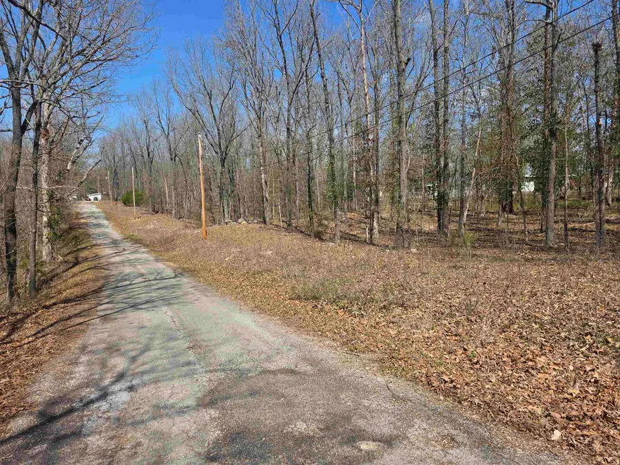 L23 B1 Apache Drive, Cherokee Village, AR 72529 - #3