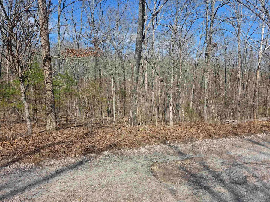 L12 B6 Navajo Drive, Cherokee Village, AR 72529 - #3