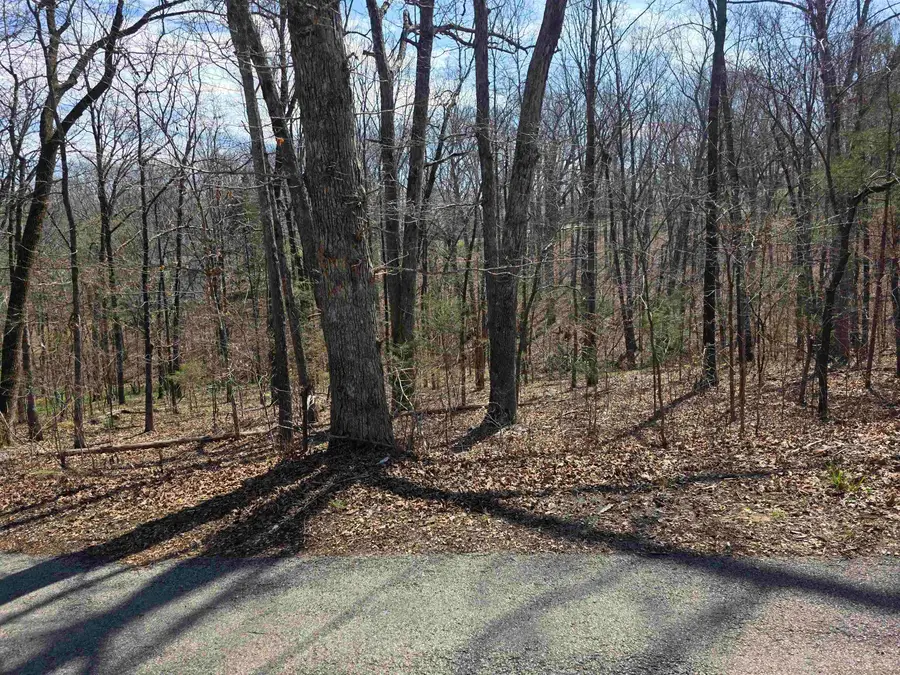 L25 B4 Keno Drive, Cherokee Village, AR 72529 - #2