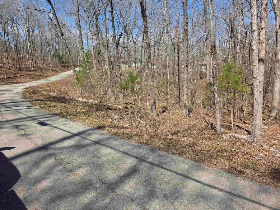 L18 B4 Powhatan Drive, Cherokee Village, AR 72529 - #2