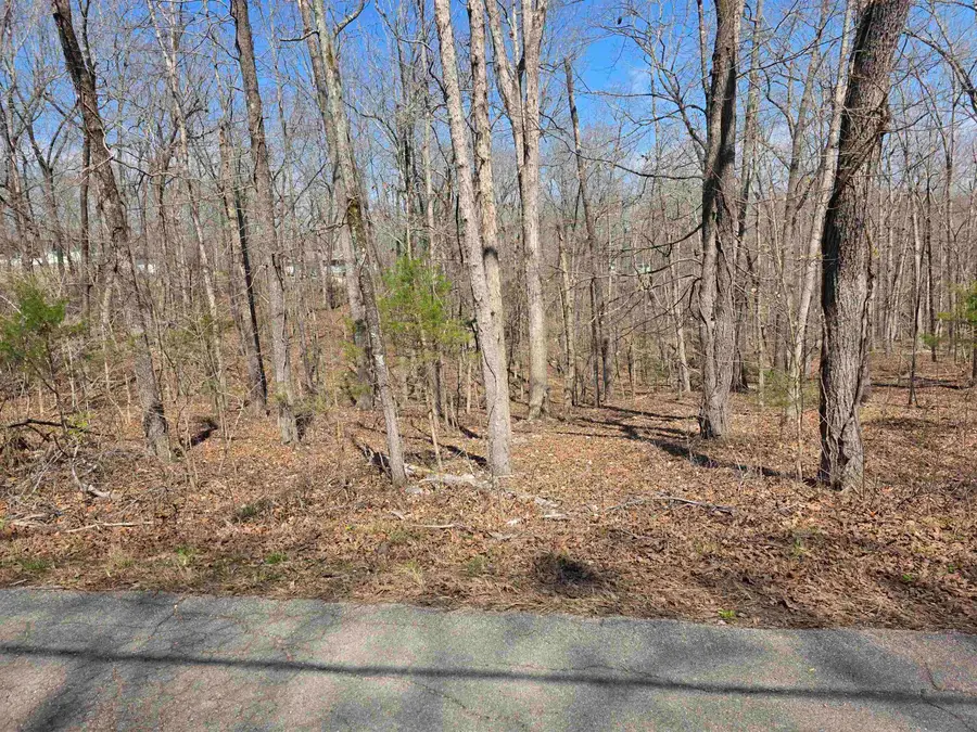 L18 B4 Powhatan Drive, Cherokee Village, AR 72529 - #3