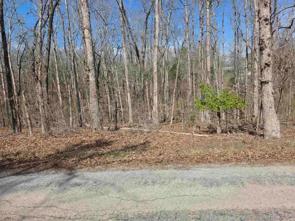 L5 B4 Powhatan Drive, Cherokee Village, AR 72529
