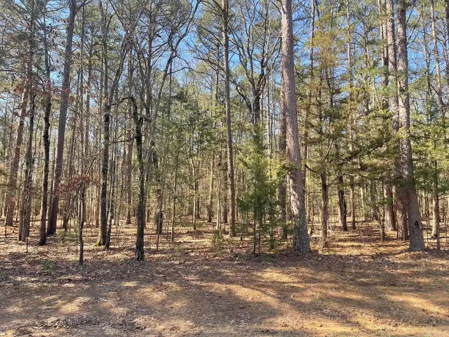 000 Santa Lucia Drive, Fairfield Bay, AR 72088 - #2