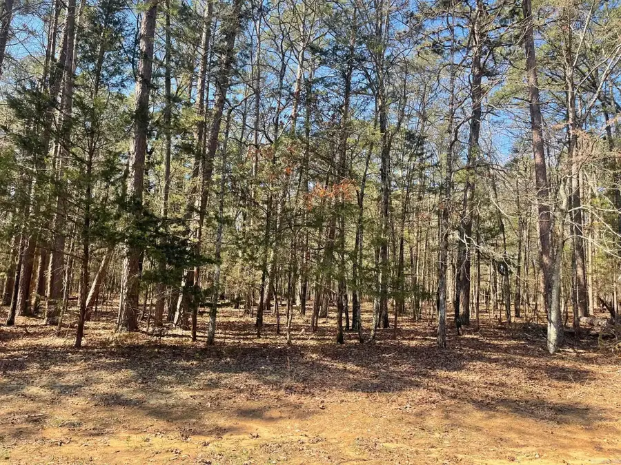 000 Santa Lucia Drive, Fairfield Bay, AR 72088 - #3