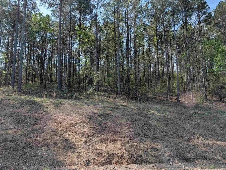 Union Valley Road, Perryville, AR 72126 - #3