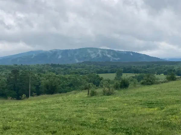 TBD. 62 acres Polk Road 85, Mena, AR 71953