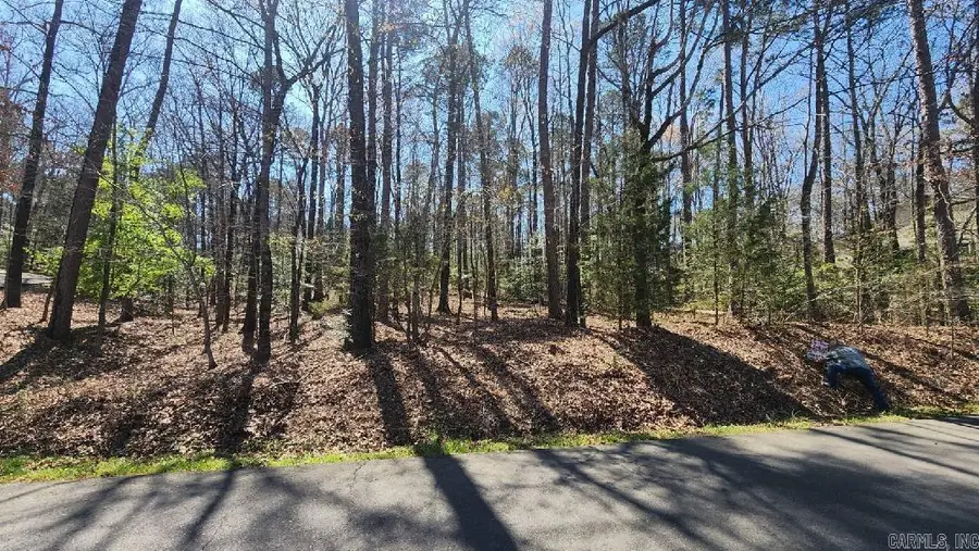 000 Zarpa Way, Hot Springs Village, AR 71909 - #2