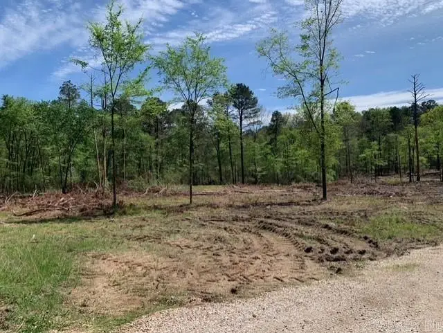 Tract 1 11395 Hwy 84, Bismarck, AR 71929 - #1