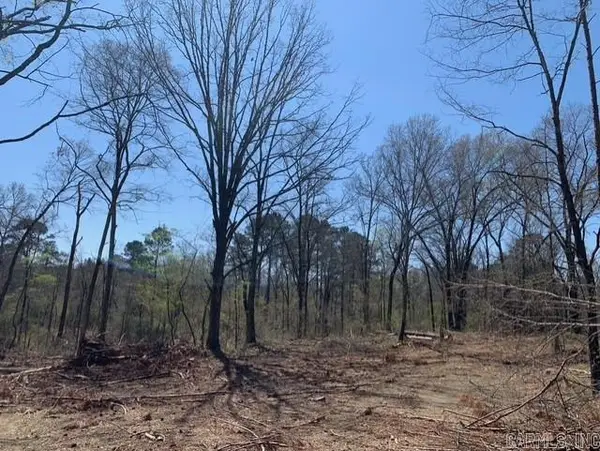 Tract 1 11395 Hwy 84, Bismarck, AR 71929