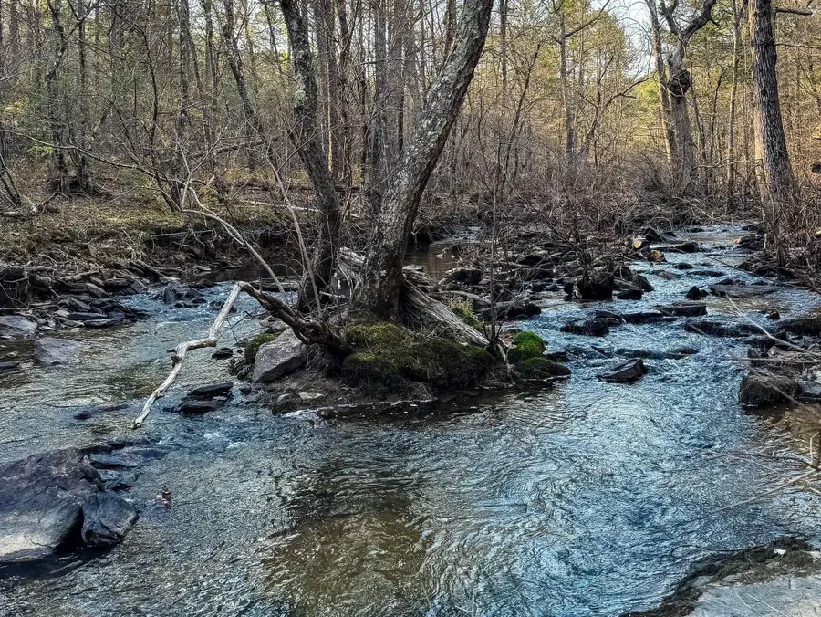 00 Countryside Dr, Quitman, AR 72131 - #3