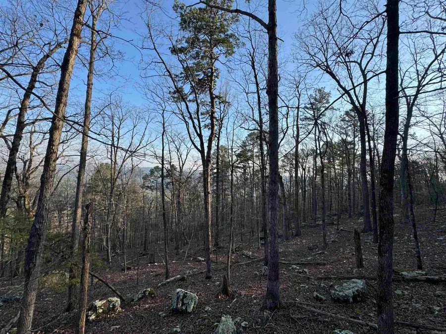 71 Jarandilla Drive, Hot Springs Village, AR 71909 - #3