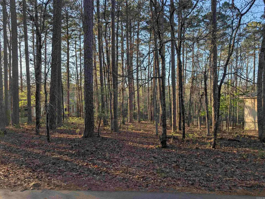 47 Huesca Way, Hot Springs Village, AR 71909 - #2