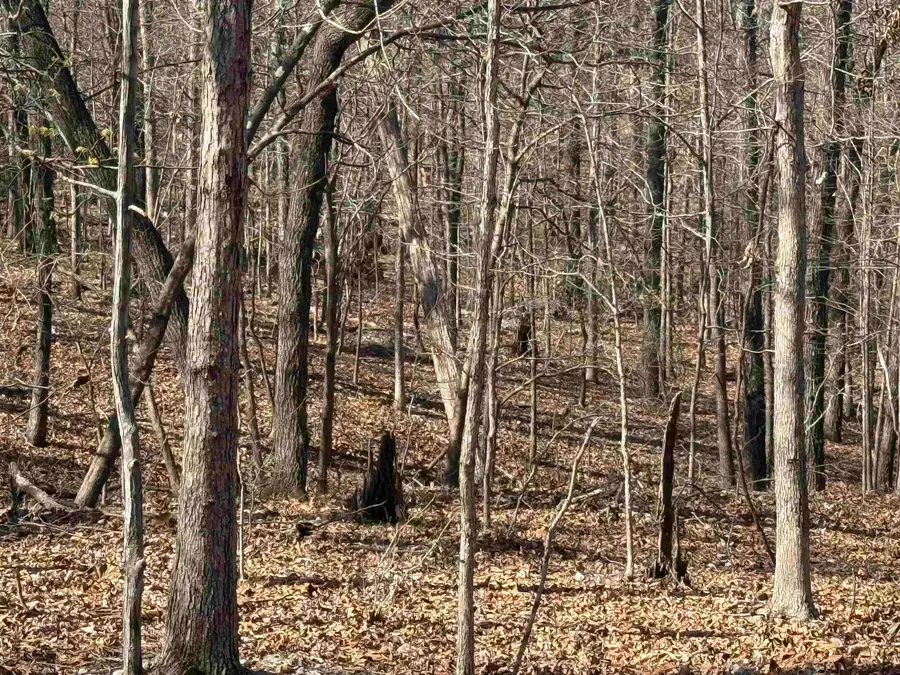 TBD Spokane Drive, Cherokee Village, AR 72529 - #3