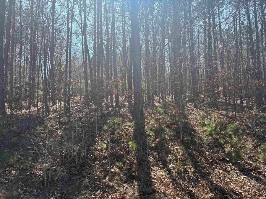 Address Withheld By Seller, Fairfield Bay, AR 72088 - #2