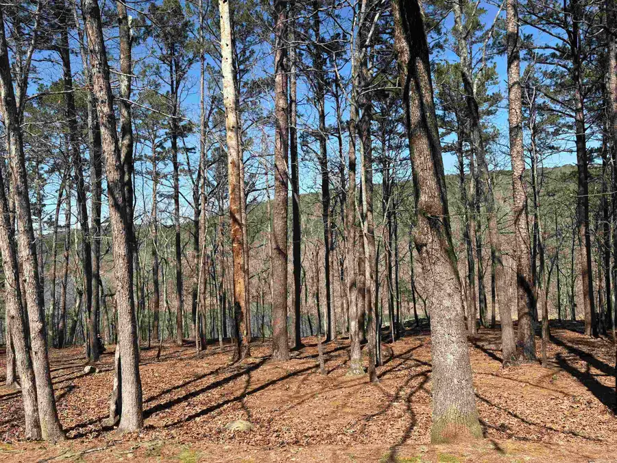 Address Withheld By Seller, Fairfield Bay, AR 72088 - #3