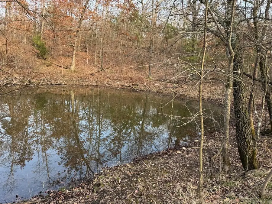 0 Arnhart Street, Ash Flat, AR 72513 - #3