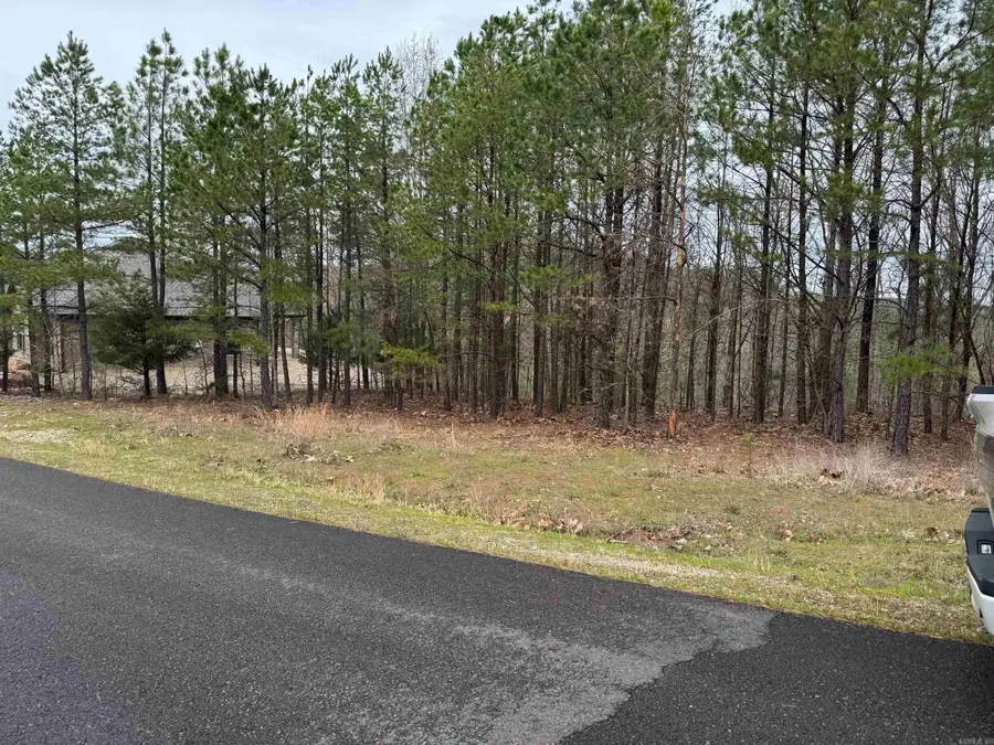 7 Moreno Way, Hot Springs Village, AR 71909 - #3