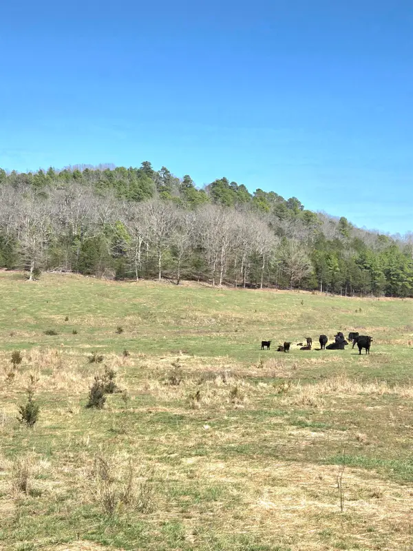 311 Rock Hill Road, Dolph, AR 72528