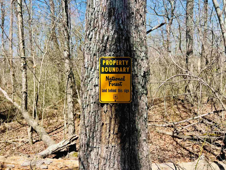 Golden Pond Lane, Witts Springs, AR 72686 - #2