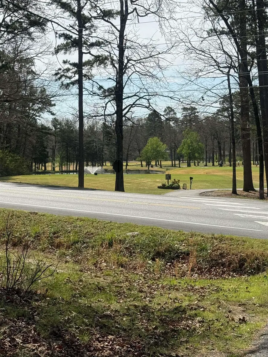 104 Ferdinand Way, Hot Springs Village, AR 71909 - #2