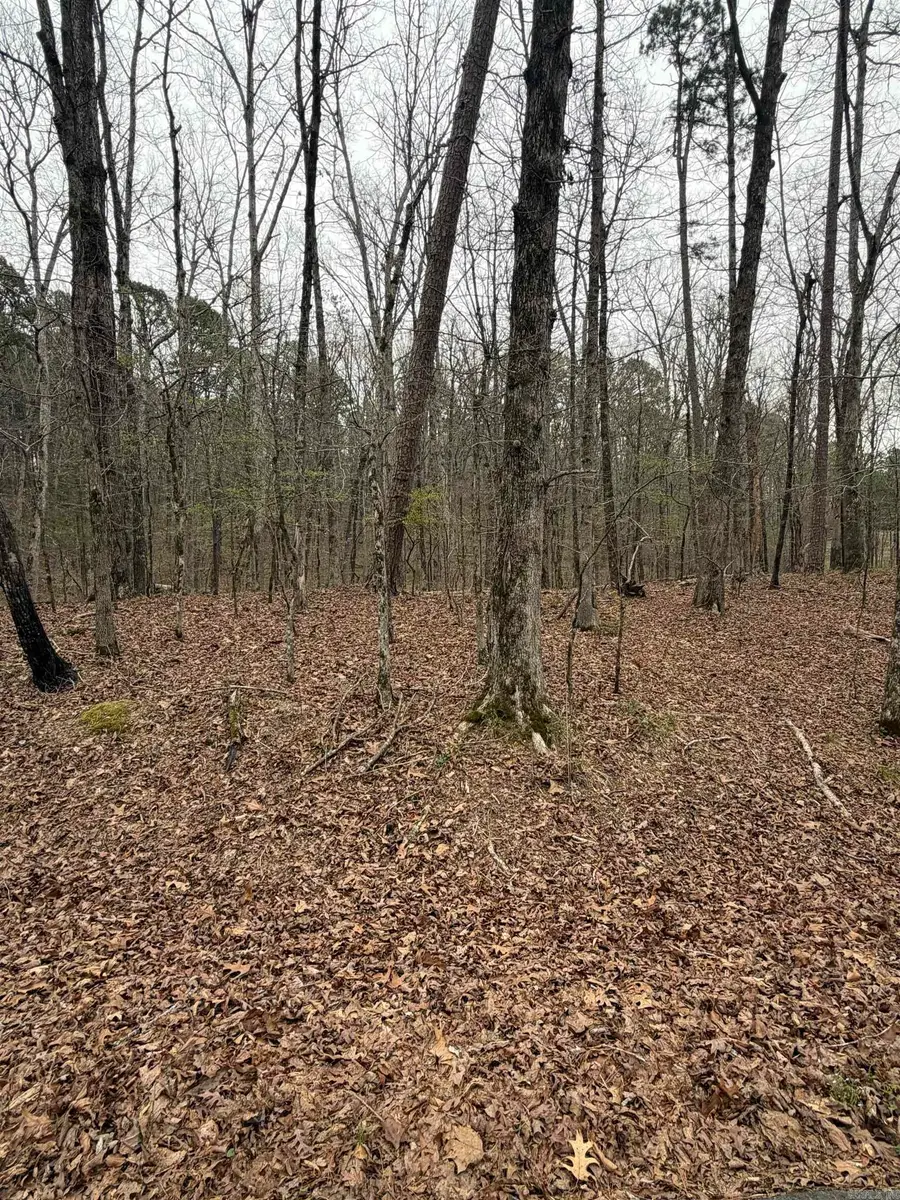 Address Withheld By Seller, Hot Springs Village, AR 71909 - #2