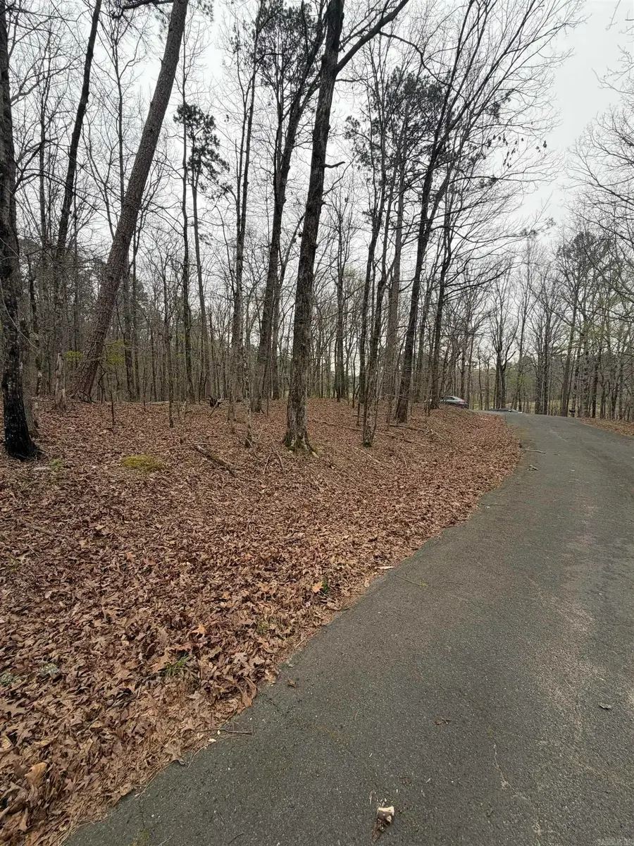 Address Withheld By Seller, Hot Springs Village, AR 71909 - #3