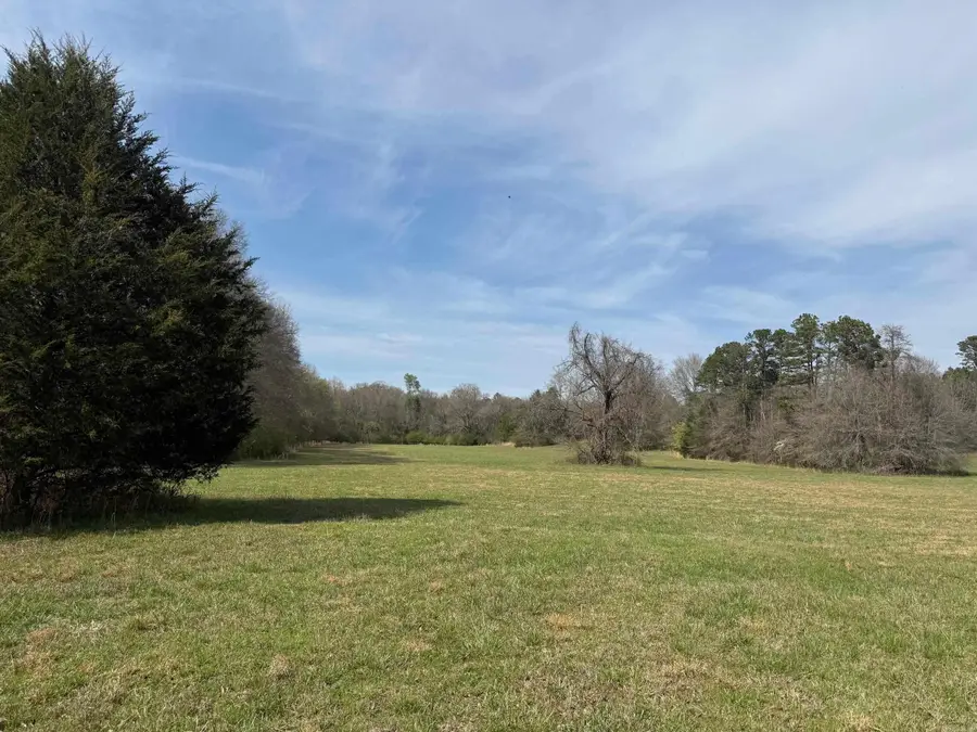 TBD Polk Road 290, Cove, AR 71937 - #3