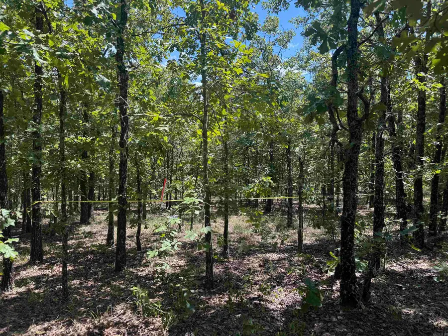 Lot 48 Sierra Sunset Cove Cove, Conway, AR 72032 - #2