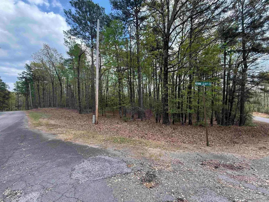 LOT 4 VIEW HILL Ridgeview Road, Camden, AR 71701 - #2