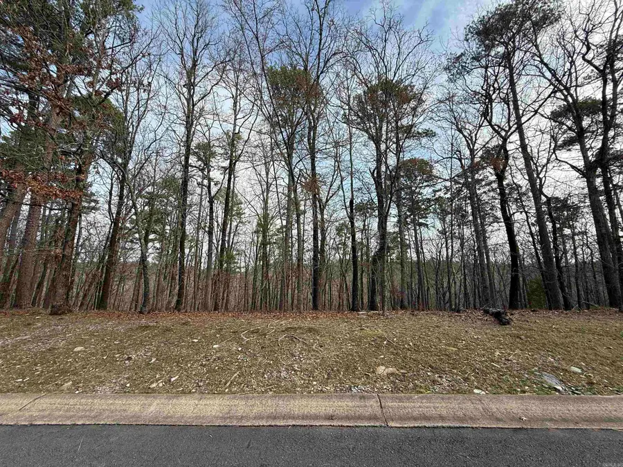 4 Cavalier Court, Little Rock, AR 72223 - #2